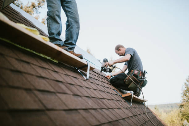 Roof Gutter Cleaning in Norton Shores, MI